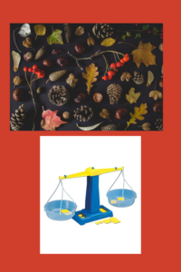 Numeracy Weighting Fall Objects