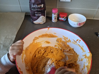 Pumpkin Cookies for babies