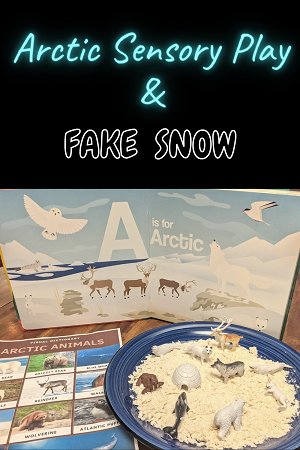 arctic animals for preschool and kindergarten
