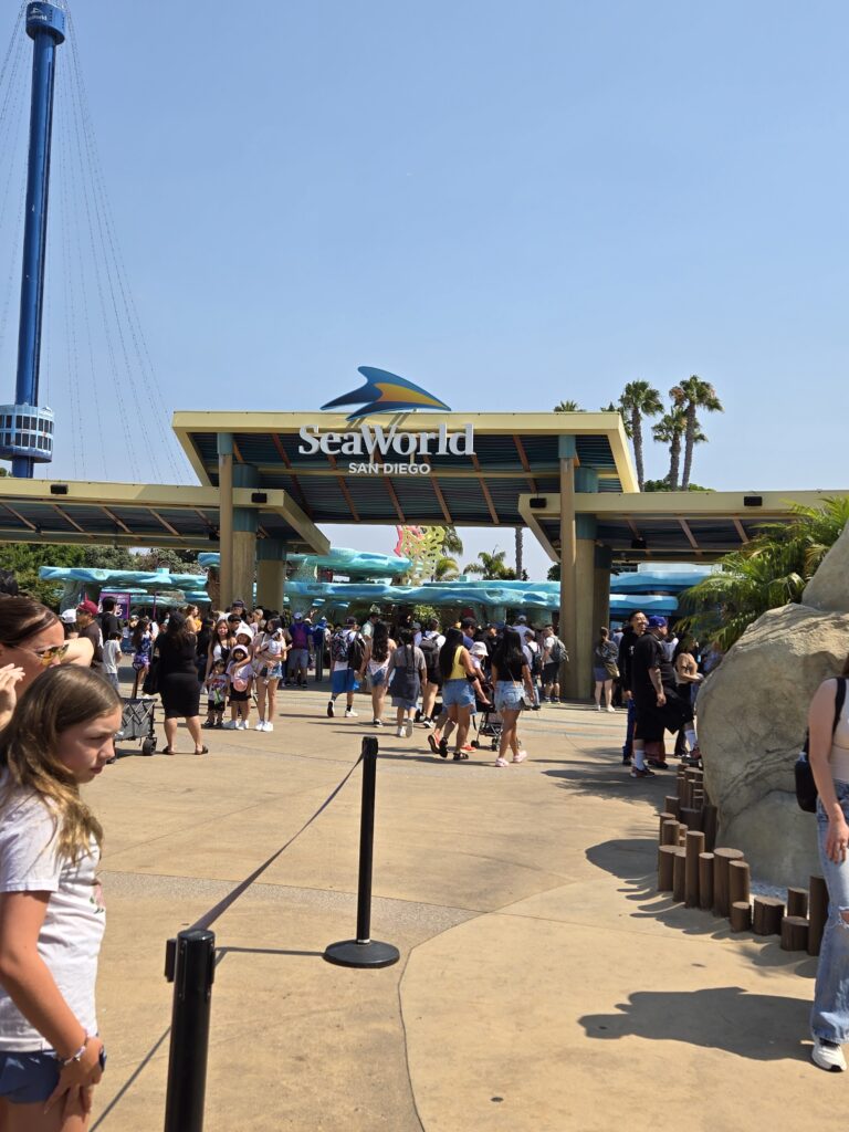 Seaworld - Things to do with kids in San Diego